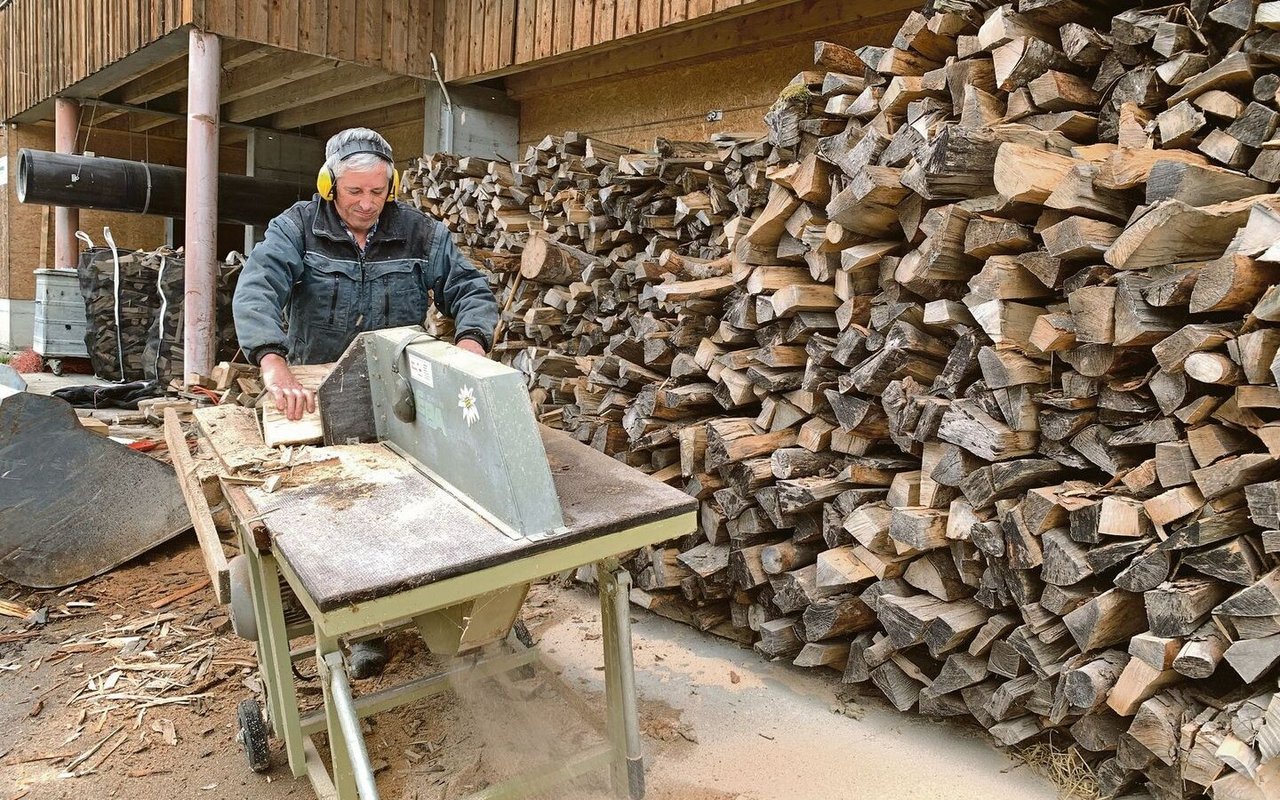 Brennholzfräsen und Spalter sind auf vielen Betrieben vorhanden und werden derzeit besser ausgelastet. 