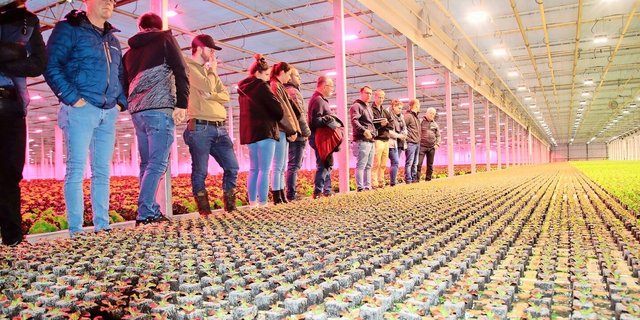 Die Gemüseproduzent(innen) aus den Kantonen Aargau und Zürich sind fasziniert von den gleichmässig heranwachsenden Salatsetzlingen im Gewächshaus der Gebrüder Meier.