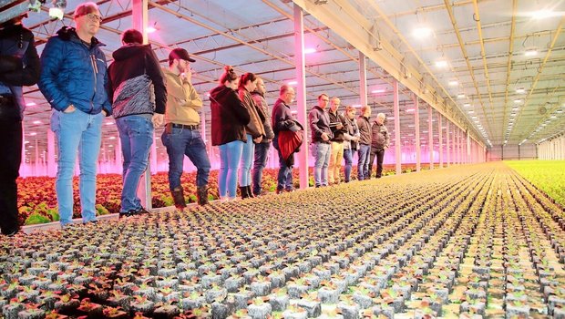Die Gemüseproduzent( Die Gemüseproduzent(innen) aus den Kantonen Aargau und Zürich sind fasziniert von den gleichmässig heranwachsenden Salatsetzlingen im Gewächshaus der Gebrüder Meier.