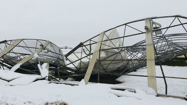Schneedruckschaden a Schneedruckschaden an einem Folientunnel. Im Jahr 2023 wurden der Versicherung Schweizer Hagel vergleichsweise mehr Sturmschäden gemeldet.