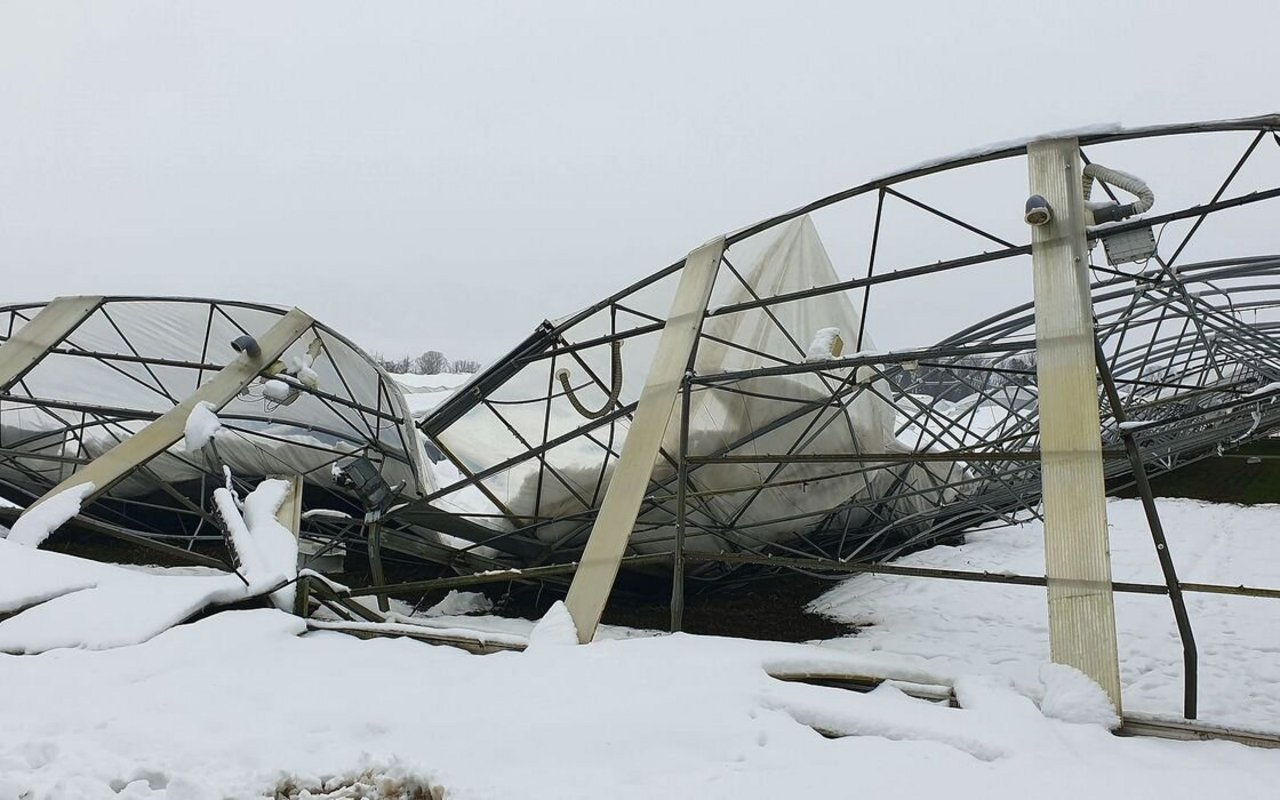 Schneedruckschaden an einem Folientunnel. Im Jahr 2023 wurden der Versicherung Schweizer Hagel vergleichsweise mehr Sturmschäden gemeldet.