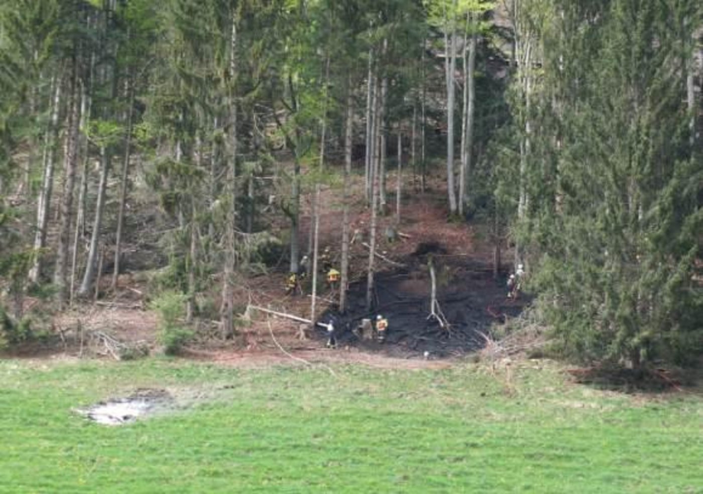Der Brand hat eine relativ grosse Schneise im Waldgebiet hinterlassen. (Bild Kapo SG) 