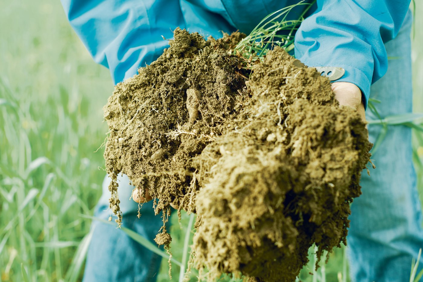 Humus verbessert die Fruchtbarkeit, Tragfähigkeit und den Wasser- und Lufthaushalt der Böden. Durch die Bindung von Kohlenstoff trägt er auch zur Regulierung der CO₂-Menge bei. (Bild Markus Spuhler)