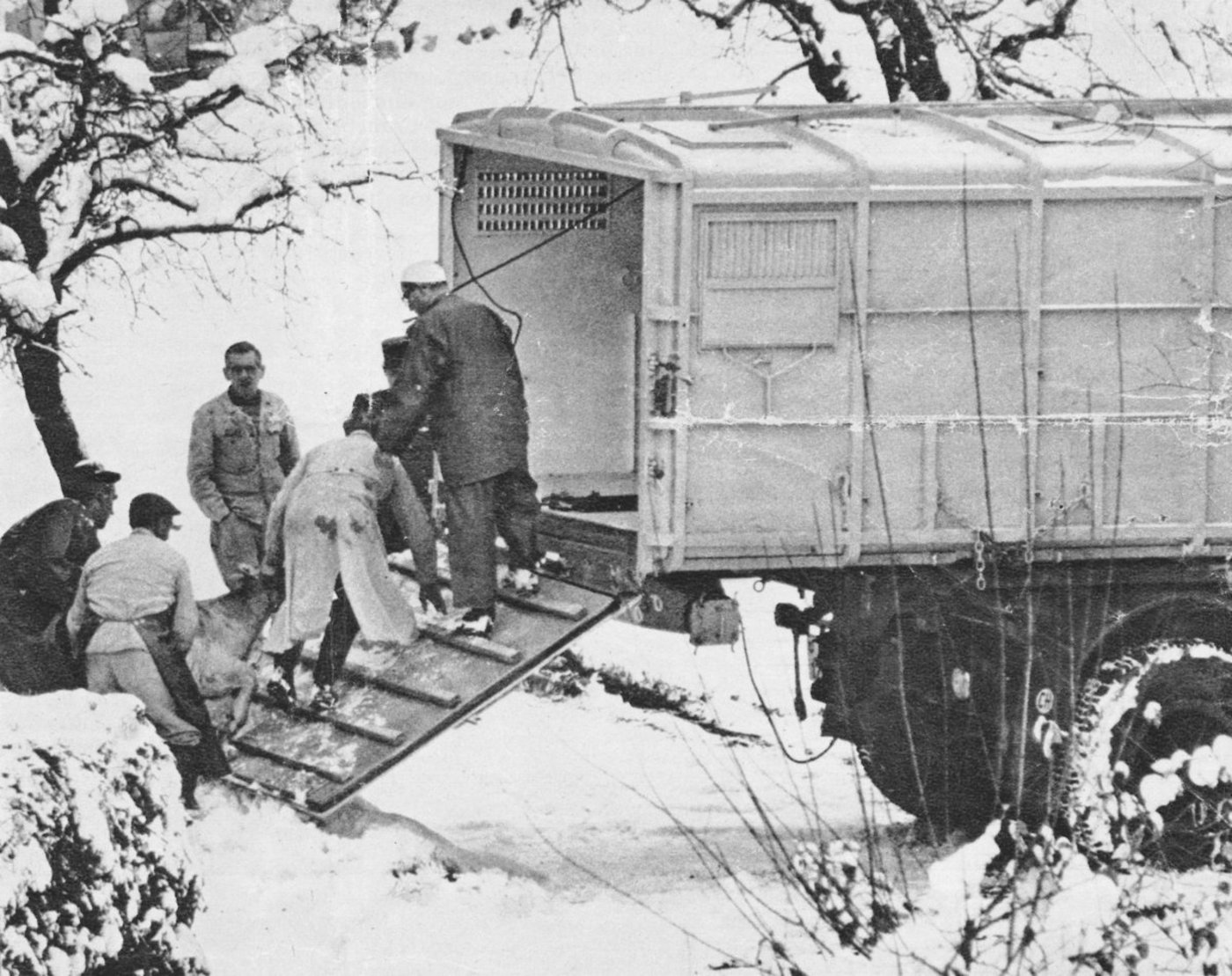 1965: Das Seuchenauto kam auf den Bauernhof Christen in Belp BE und holte die kranken Tiere ab. Sechs Schweine und 27 Stück Rindvieh. Die Kuh «Junker» gebar während der Fahrt ein Kalb. Alle Tiere mussten getötet werden. (Bild Greti Christen)