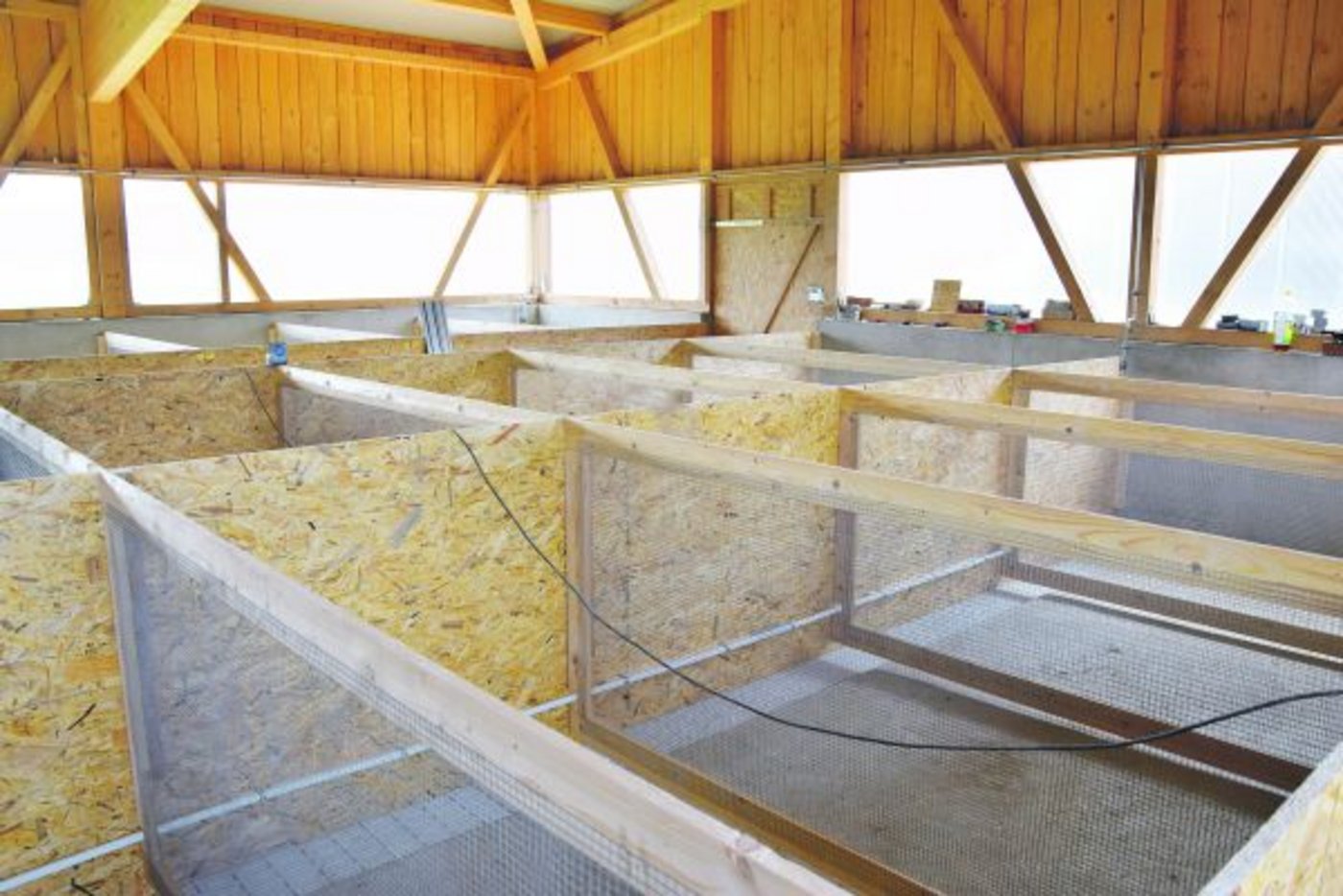 Gruppenhaltung für die Masttiere: 30 Buchten à 2,5 × 1,4 Meter mit je 1,5 Quadratmetern erhöhter Fläche für je maximal 30 Tiere.