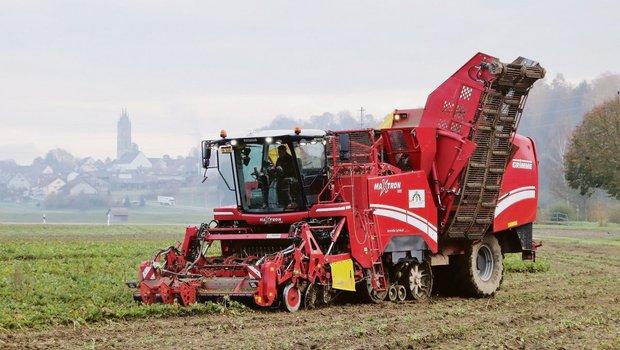 Ein Raupenvollernter für Zuckerrüben im Einsatz. Erstmals in der Geschichte der Zuckerfabrik Frauenfeld wird die Verarbeitung der Ernte 2019 erst im neuen Jahr 2020 abgeschlossen.(Bild Roland Müller)