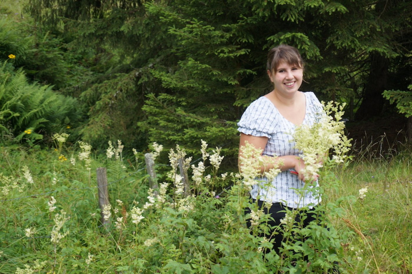 Claudia Aebersold durchstreift Alpweiden nach Pflanzen mit denen sie einen Alp-Sommerstrauss kreieren will. (Bilder Deborah Rentsch)