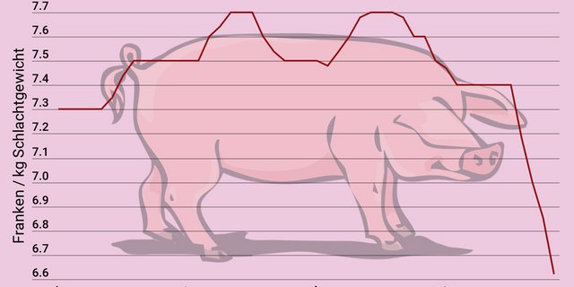 (Zahlen: BLW, Bio Suisse, SBV / Grafik: LID)