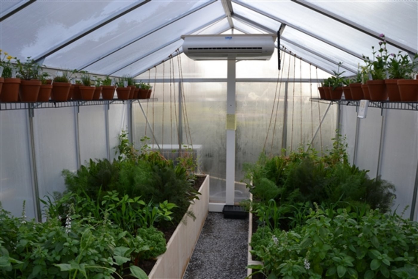  Im Inneren wachsen Gemüse- und Wiesenpflanzen. Die rechte Seite bekommt 30 Prozent weniger Wasser, entsprechend den Niederschlags-Voraussagen für diese Region. 