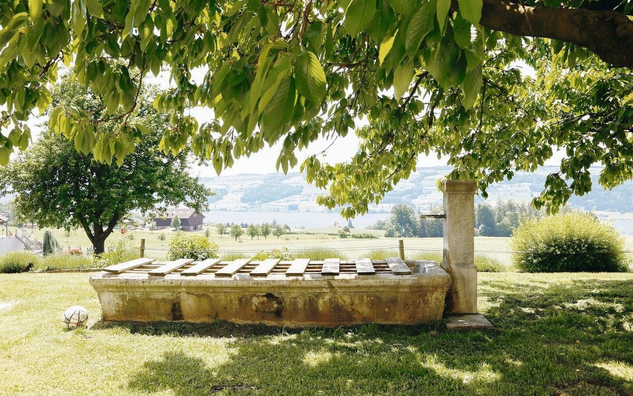 Zum Schliessbachhof gehört ein grosser Garten mit einem altehrwürdigen Brunnen. 