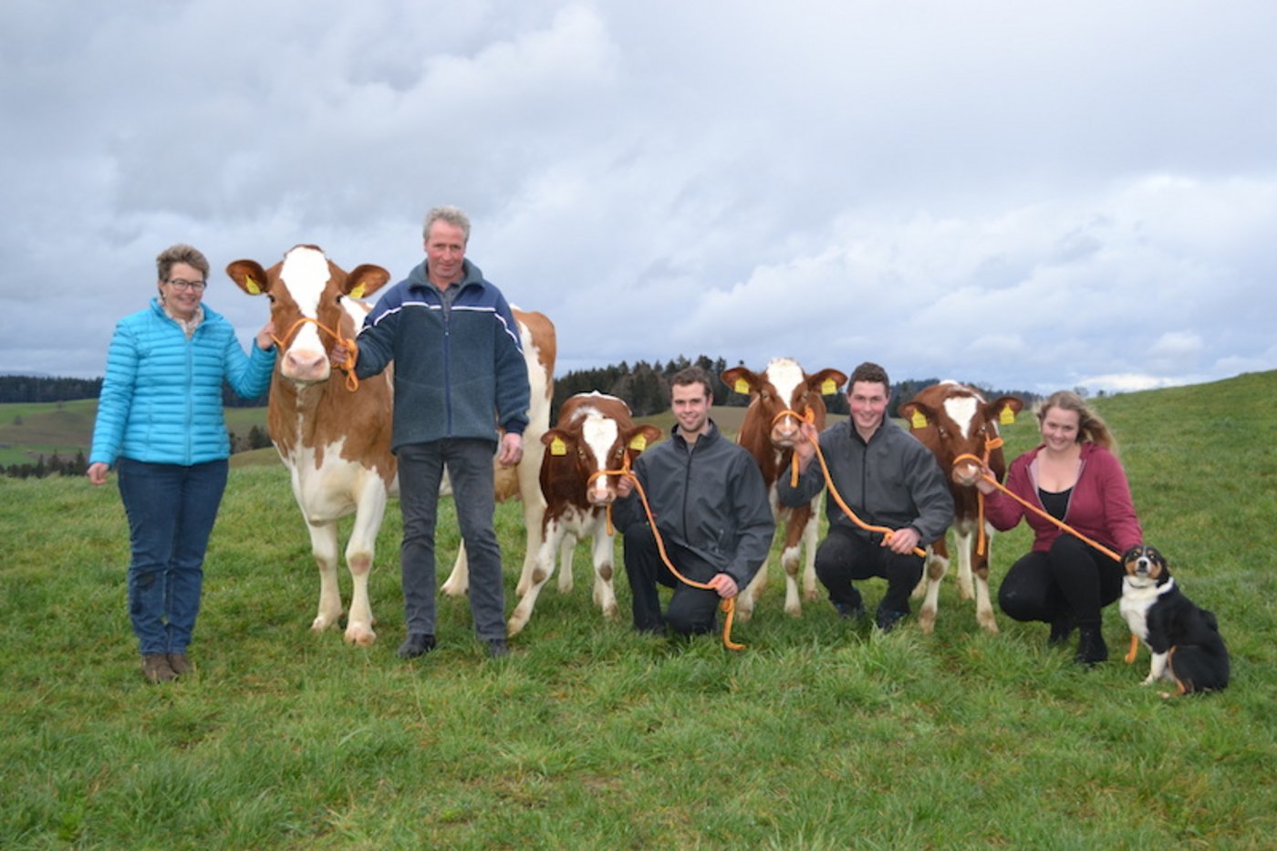 Vielleicht gibt es schon bald eine zweite Ibiza: Denn ihre Mutter Incas Darling gebar letzten Sommer Drillinge, alles Kuhkälber vom Stier Atomar. (Bild Peter Fankhauser)