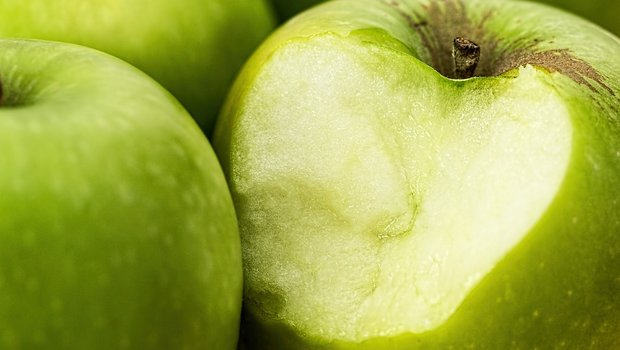 Der SOV plant die Branchenlösung «Nachhaltigkeit Früchte» Es gebe heute zu viele unkoordinierte Projekte für mehr Nachhaltigkeit im Obstbau. Dem soll eine gemeinsame Branchenlösung entgegenwirken. (Bild stevepb / Pixabay)
