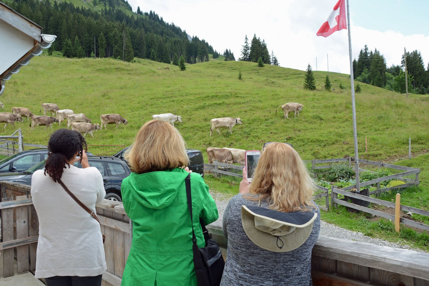 Auch die Kühe sind beliebte Fotomotive.
