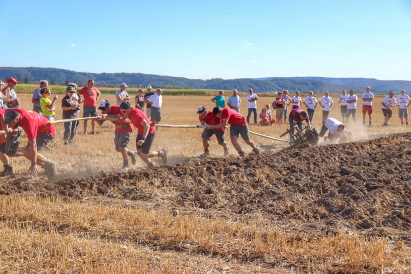 Nicht jeder Startversuch war erfolgreich; manchmal endete es mit einem umgestürzten Pflug 
