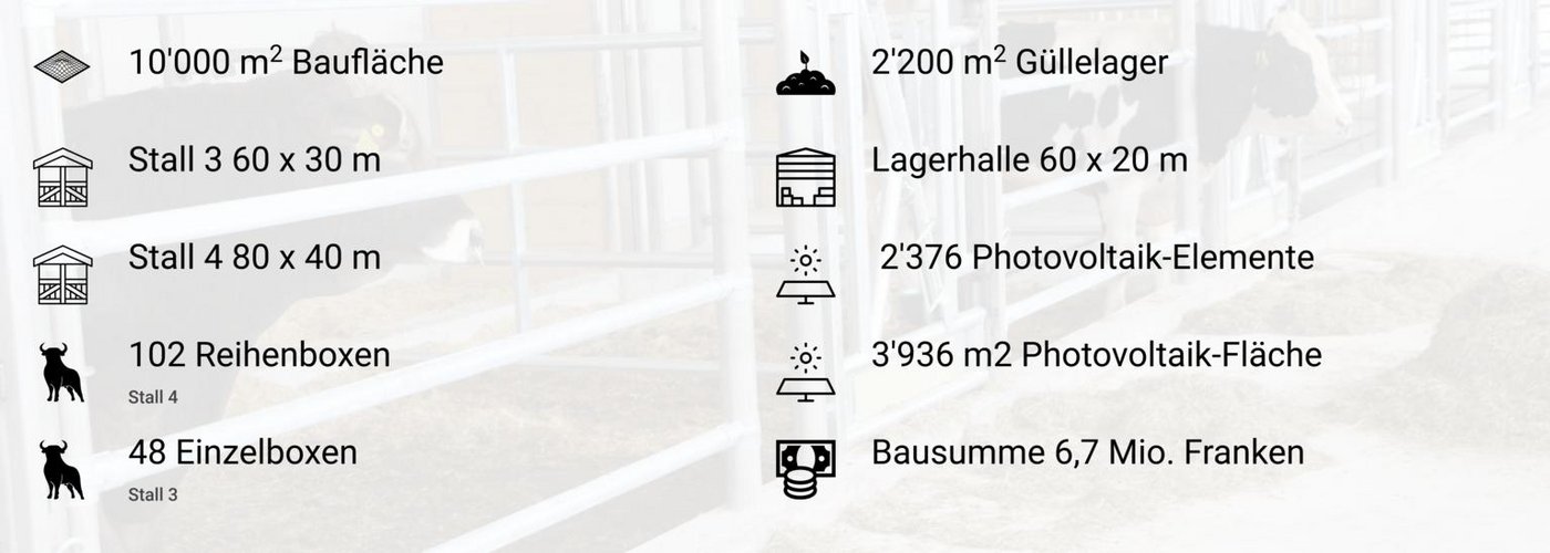 Hinzu kommen 16 Einzelboxen im weiterhin betriebenen Stall 2. (Bild zVg)