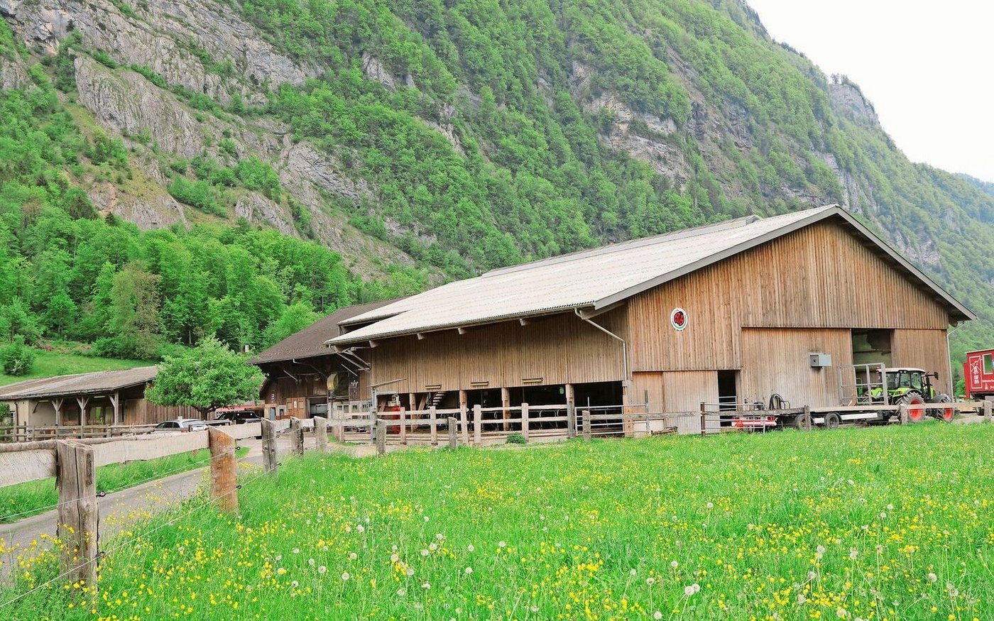 Der Betrieb steht etwas ausserhalb vom Dorf. 2016 wurde der neue Laufstall gebaut, seit 2017 hält die Familie Kubli Angus-Mutterkühe.  