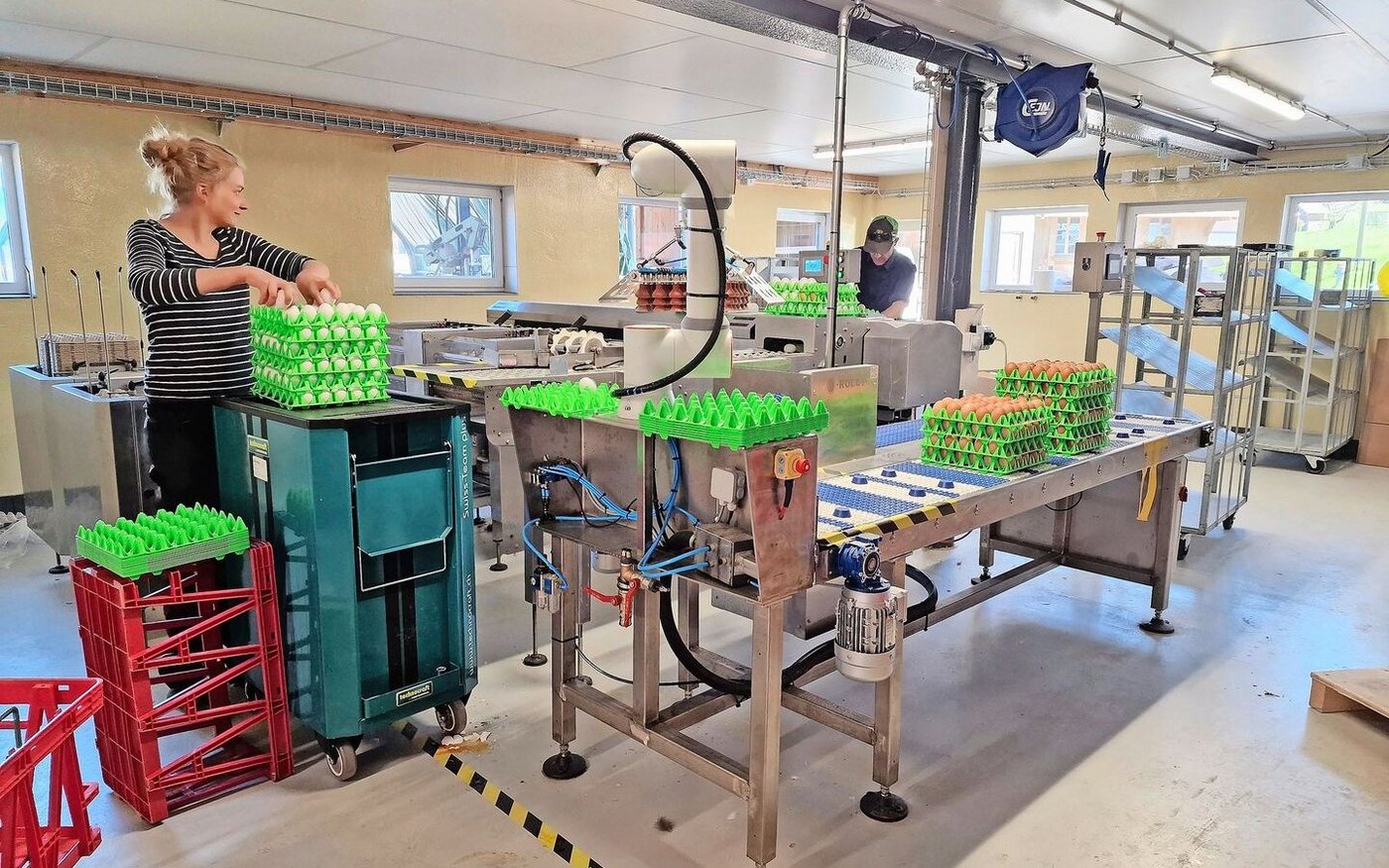 Direktvermarktung braucht entsprechend Infrastruktur. Hier werden die Eier von Angestellten kontrolliert und sortiert.