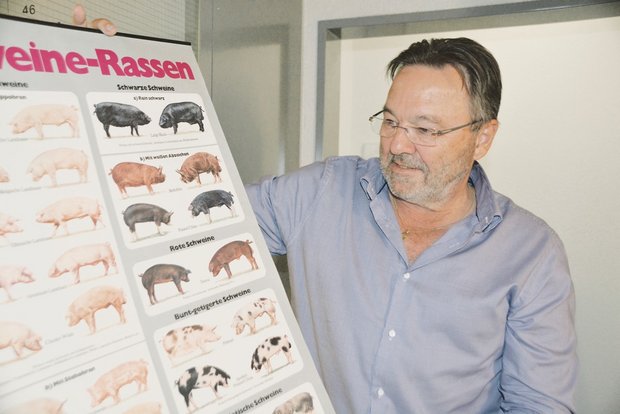 Das Schweinerassen-Poster begleitete ihn sein Berufsleben lang: Lehrer und Berater Hans-Peter Albrecht. (Bild aem)