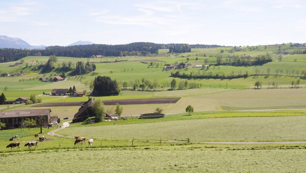 Die Luzerner Landwirtschaft soll vermehrt auf Regionalität setzen, im Bild das Rottal. (Symbolbild ag)