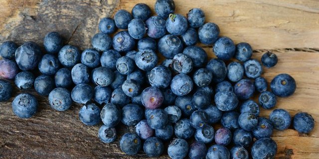 Die Nachfrage und der Anbau von Heidelbeeren ist in den letzten Jahren konstant gestiegen. (Bild pd)