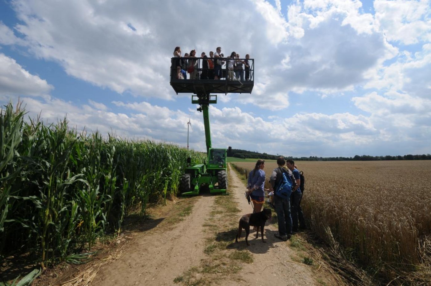 Für 8 Euro pro Person werden jeweils etwa 10 Leute auf der Bühne angehoben, um den Kornkreis von oben zu betrachten.