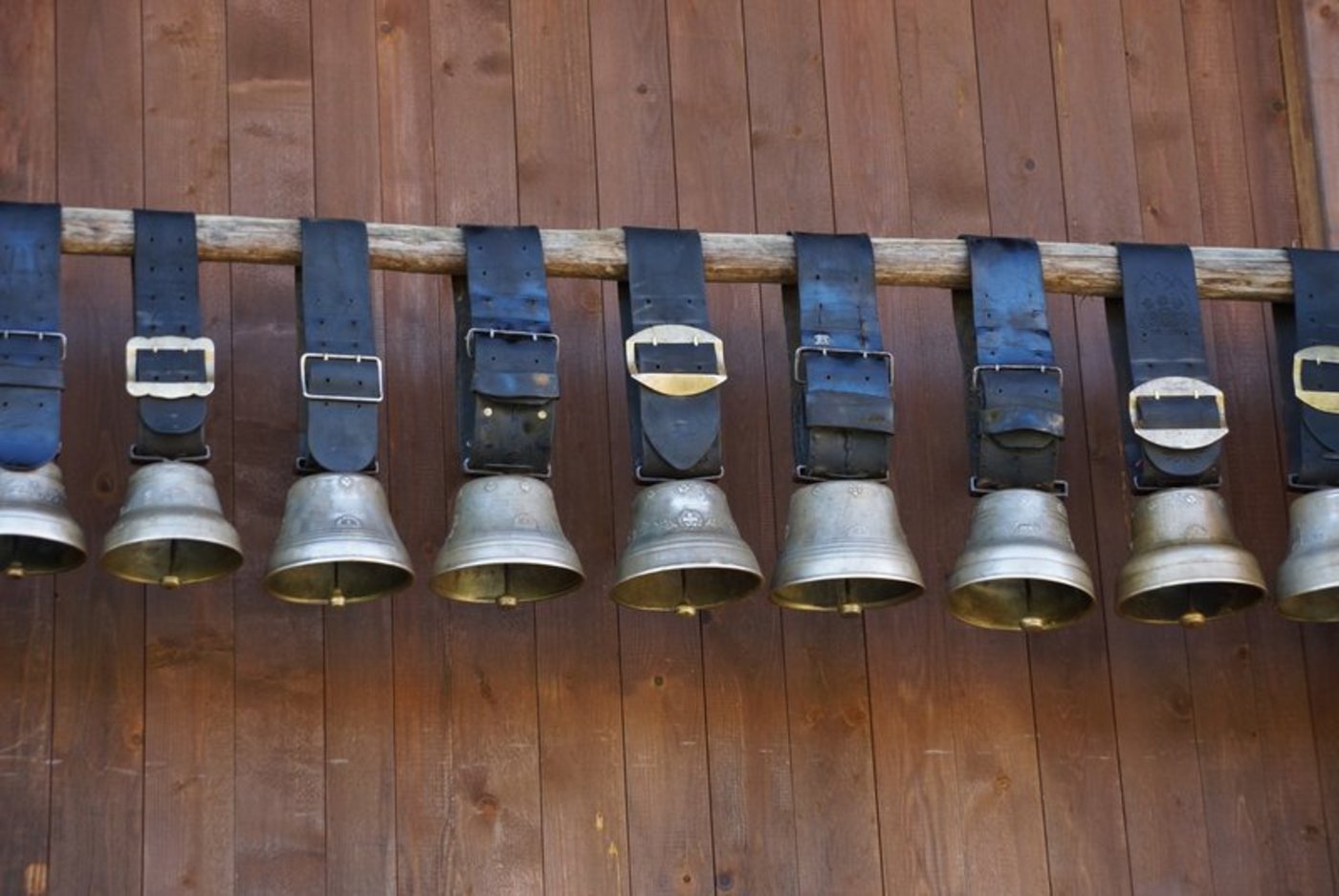 Kuhglocken helfen dabei, die Tiere zu finden und sind ein Symbol für Schweizer Traditionen. Ihr Klang ist aber offenbar nicht bei allen und zu jeder Tages- oder Nachtzeit gern gehört. (Bild BauZ)