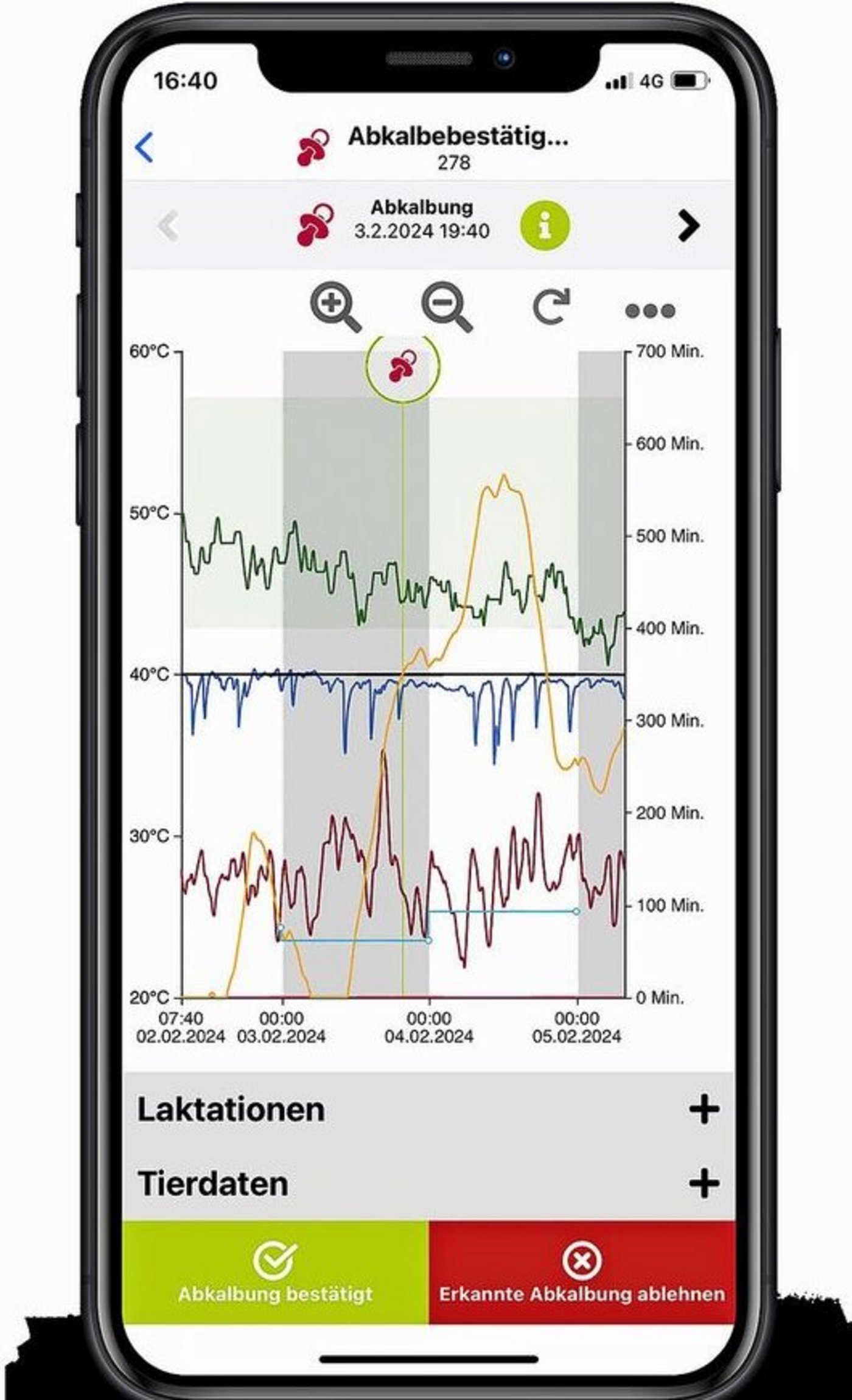 Benachrichtigung via Handy: Die Abkalbeerkennung von Smaxtec basiert auf einem typischen Temperaturabfall (blaue Kurve) vor der Geburt. 