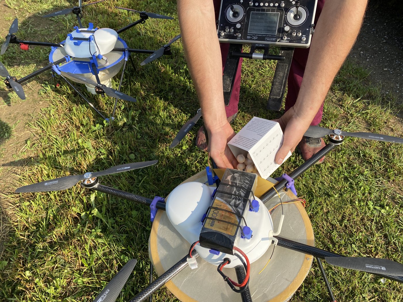 Die Trichogramma-Kugeln werden in die Drohne eingefüllt.