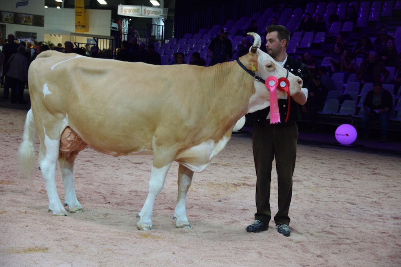 Siegerin Kategorie 7: Sepp Eliana von Stephan und Jonathan Perreten, Lauenen b. Gstaad. (Bild pf)