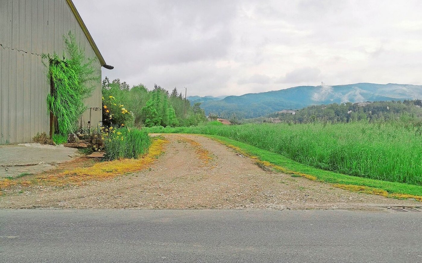 Klar verboten: Mit Herbizid abgespritzte Wegränder auf einem landwirtschaftlichen Hofareal.  
