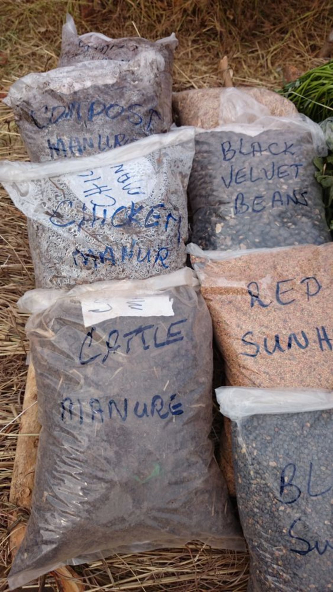 Das „schwarze Gold“ von Biobauer Alban: Mistkompost, Hühner- und Kuhmist. Daneben Saatgut von Gründüngungen.