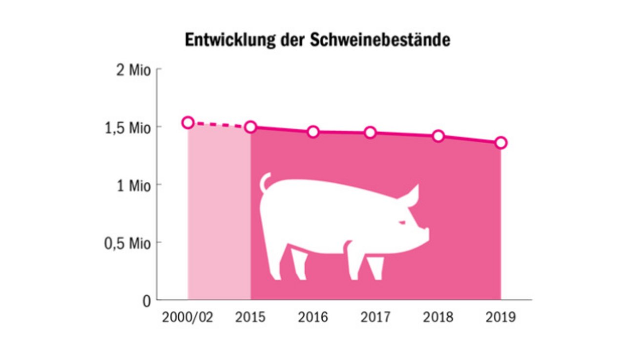 Die Schweinebestände in der Schweiz haben sich seit dem Jahr 2000 nur leicht verändert. (Grafiken mi/Quelle Agrarbericht 2020)