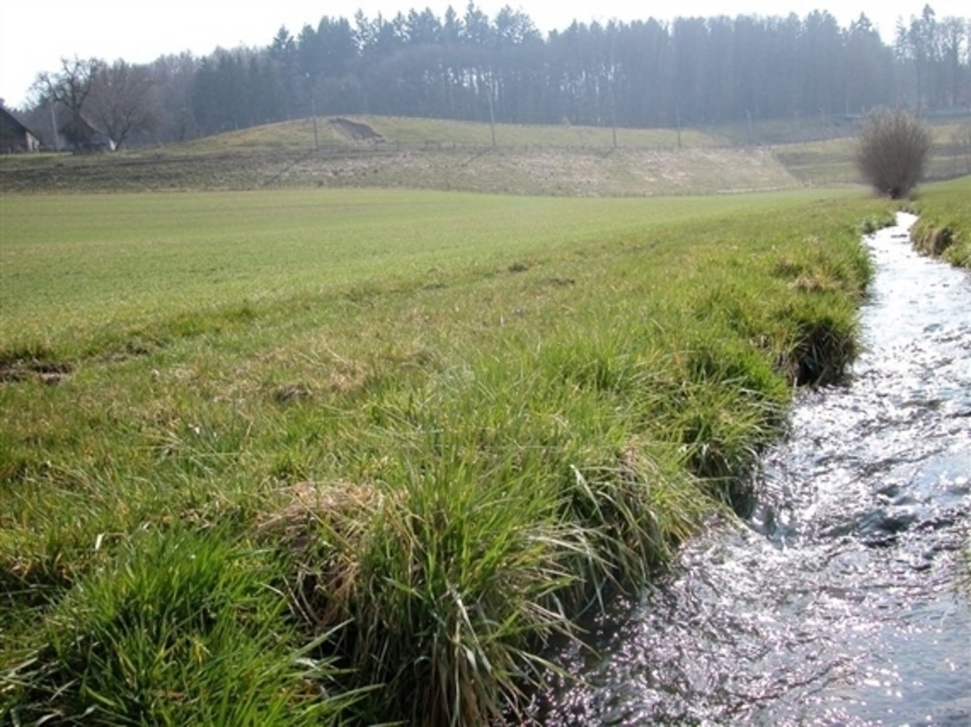 Die Grenzwerte für verschiedene Stoffe in Bächen, Flüssen und Seen sollen erhöht werden. (Bild BauZ)
