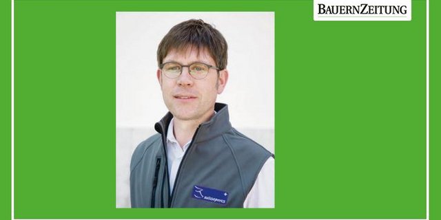 «Es sind zu viele Mastplätze in Produktion», sagt Arnold Windlin, Präsident der Marktkommission. (Bild Suisseporcs)