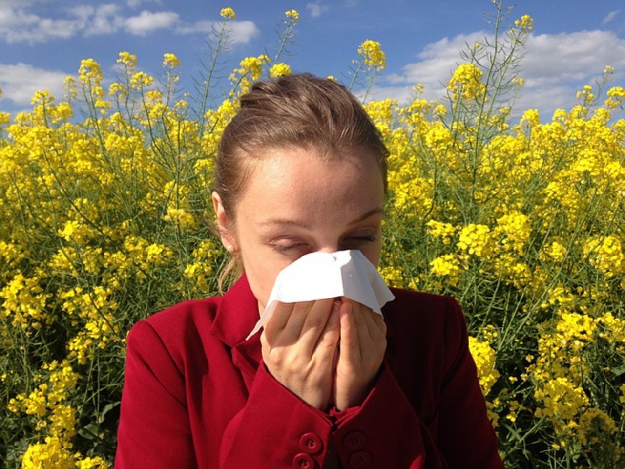 Heuschnupfen ist lästig und nicht etwa harmlos. Unbehandelt kann sich daraus ein Asthma entwickeln. (Bild Pixabay)
