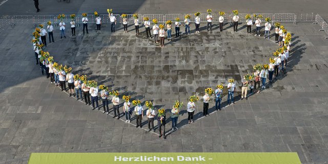 Die Sonnenblumen sollen laut dem Berner Bauernverband nicht nur ein Zeichen der Dankbarkeit sein, sondern auch dafür, dass Berner Bäuerinnen und Bauern auch in Zukunft nachhaltig produzieren und auf die Natur achten werden. (Bild BEBV) 