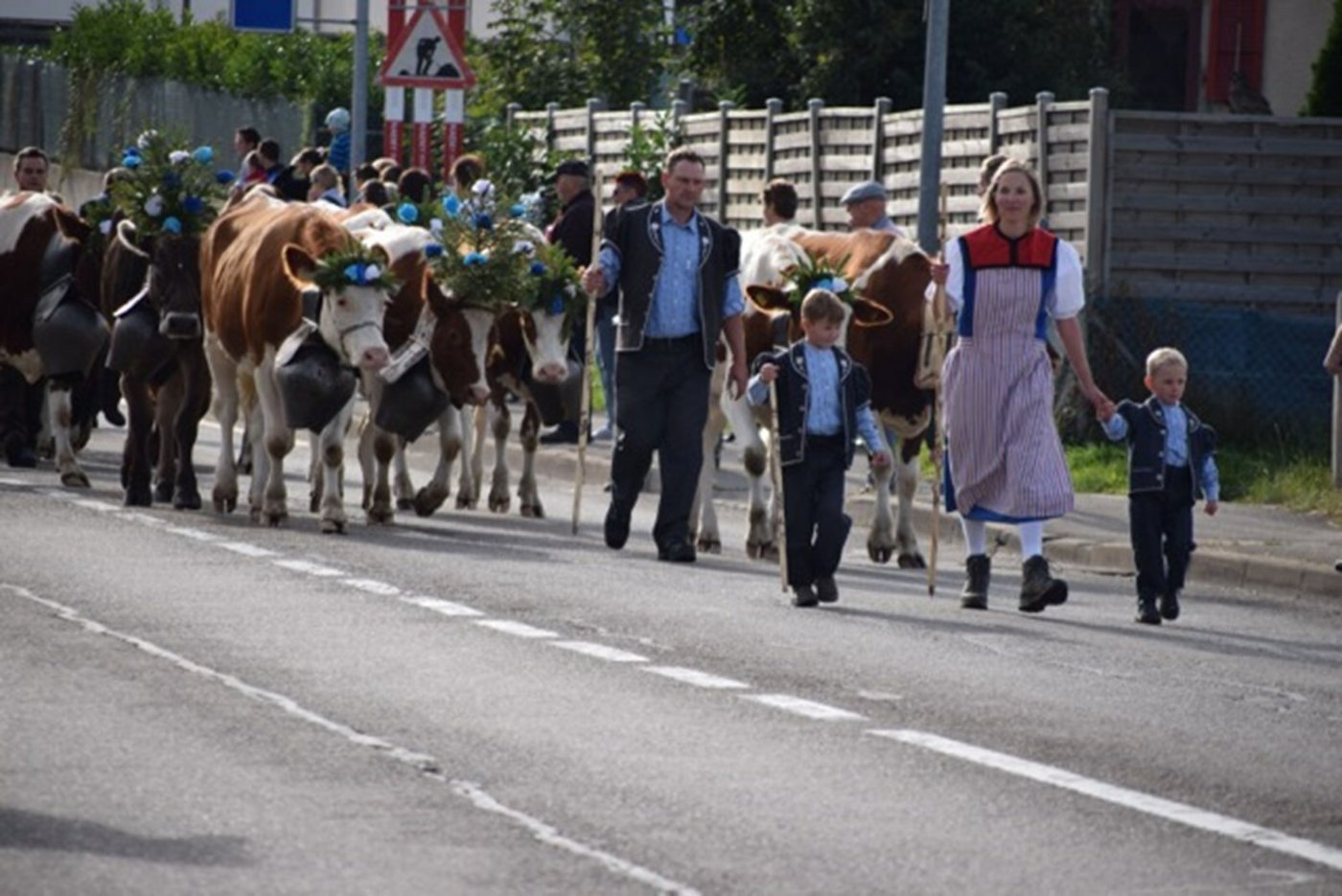 Die geschmückten Kühe werden normalerweise von zahlreichen Zuschauern bestaunt. (Archivbild BauernZeitung)