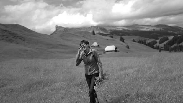 Esther hat das Alpenkreuzkraut zwischen der Schrattenfluh, dem Brienzer Rothorn und dem Tannhorn gesucht und gefunden. (Bild Pinaki)