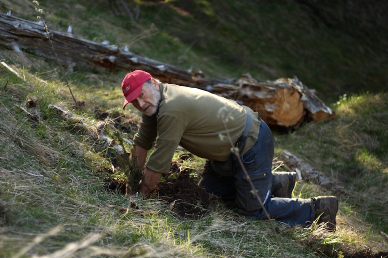 Rund 2400 Helfer arbeiten jährlich an 100 Projektwochen an 36 Orten in der Schweiz daran, den Wald zu stärken. (Bild zVg)