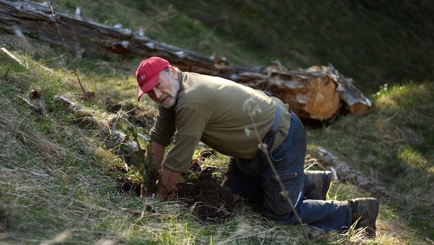 Rund 2400 Helfer arbeiten jährlich an 100 Projektwochen an 36 Orten in der Schweiz daran, den Wald zu stärken. (Bild zVg)