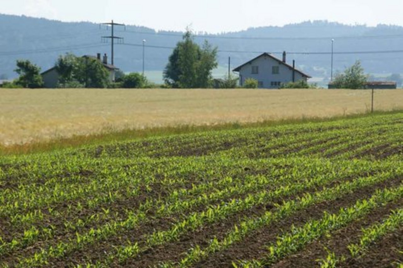 Deutschlands Landwirtschaftsfläche dehnt sich aus - bauernzeitung.ch