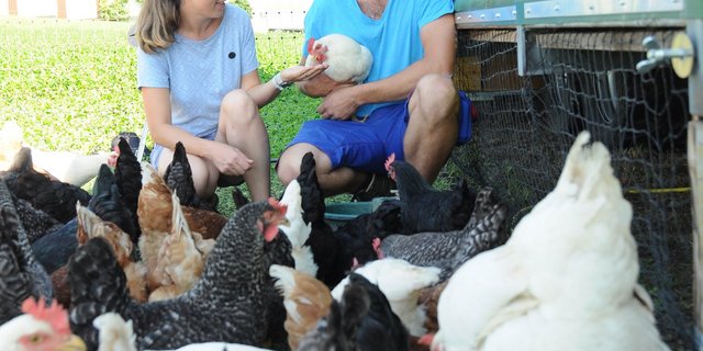 Gesche und Ralph Buholzer umringt von ihrer bunten Legehennenschar. Die Eier verkaufen sie in einem Automaten direkt an der Hauptstrasse oder auf dem Dorfmarkt. (Bild ag)