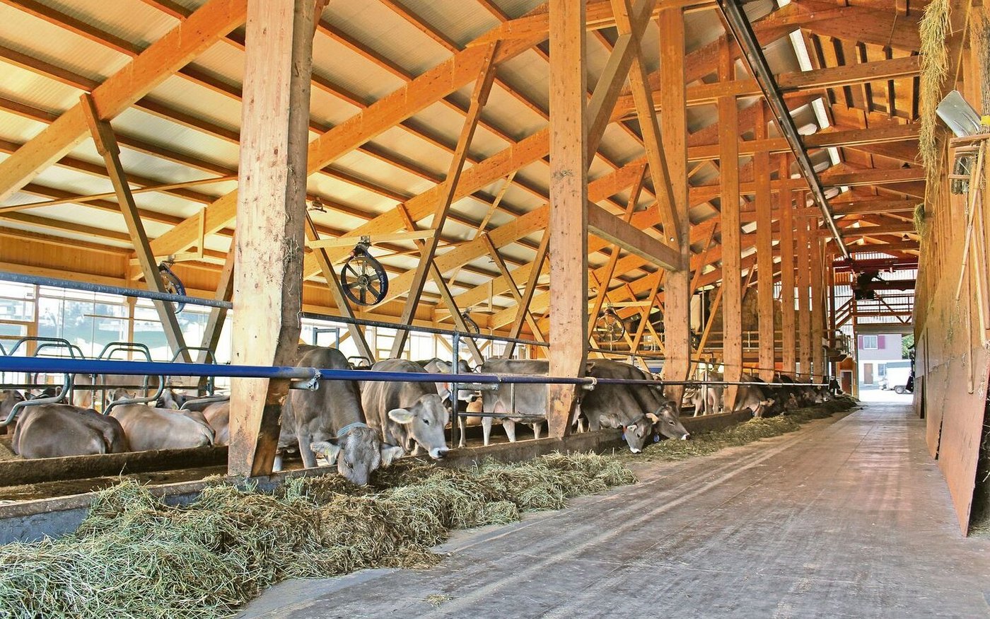 Ein Beitrag gegen Food Waste: Rund vier Tonnen Kakaoschalen werden monatlich in der Tierfütterung weiterverwendet.