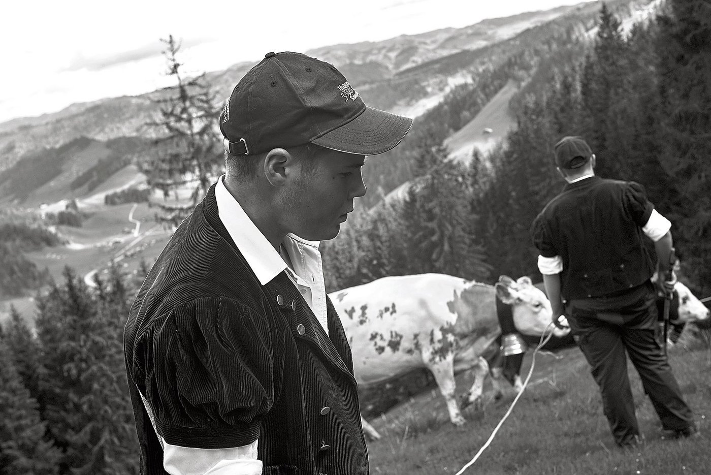Pädu und Dävu auf der Alpauffahrt, dazwischen die vorwiegend weisse Paloma. (Bild Pinaki)