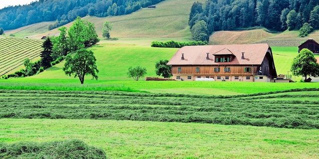 Laut der Untersuchung gibt es keine Hinweise darauf, dass auf Dauergrünland eine Zunahme der Kohlenstoffspeicherung stattfindet.