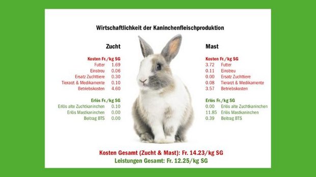 Die Produktion von Kaninchenfleisch ist ein Verlustgeschäft. (Grafik dr/Quellen Agroscope, Agristat)