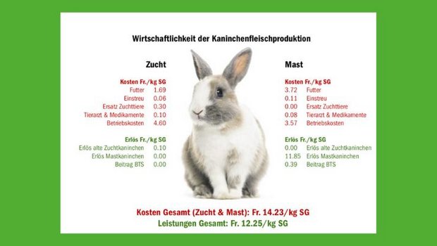 Landwirtschaft in Zahlen: Verlust von Fr. 2.– pro kg SG bei Kaninchen Die Produktion von Kaninchenfleisch ist ein Verlustgeschäft. (Grafik dr/Quellen Agroscope, Agristat)
