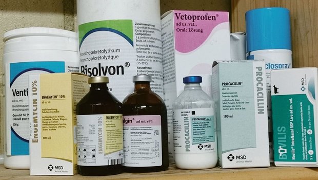 Es muss zunehmend mit Engpässen bei Medikamenten für Nutztiere gerechnet werden. Nicht nur Antibiotika sind betroffen, auch Impfstoffe fehlen.