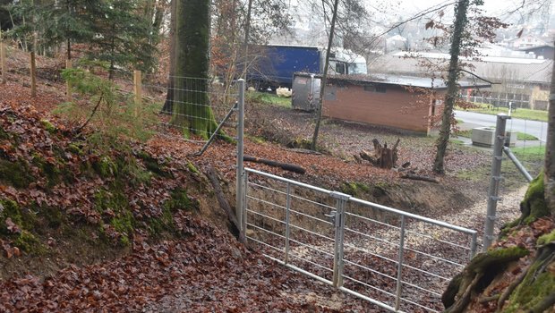 Beim Rastplatz Thayngen gibt es für Wildschweine kein Durchkommen mehr. (Bilder Thomas Güntert)