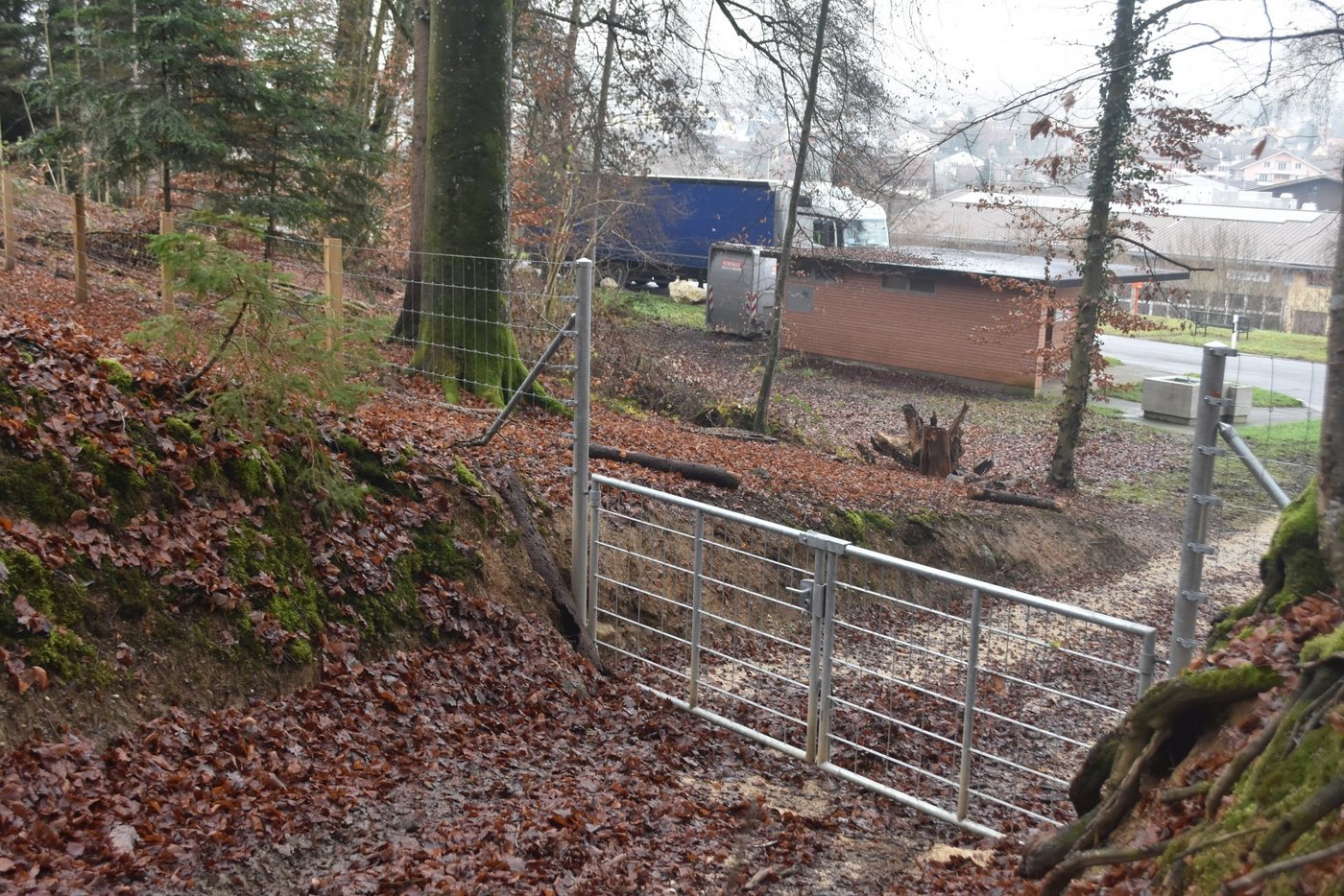Beim Rastplatz Thayngen gibt es für Wildschweine kein Durchkommen mehr. (Bilder Thomas Güntert)